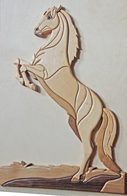 Bronco, cheval sauvage - 38 cm x 53 cm