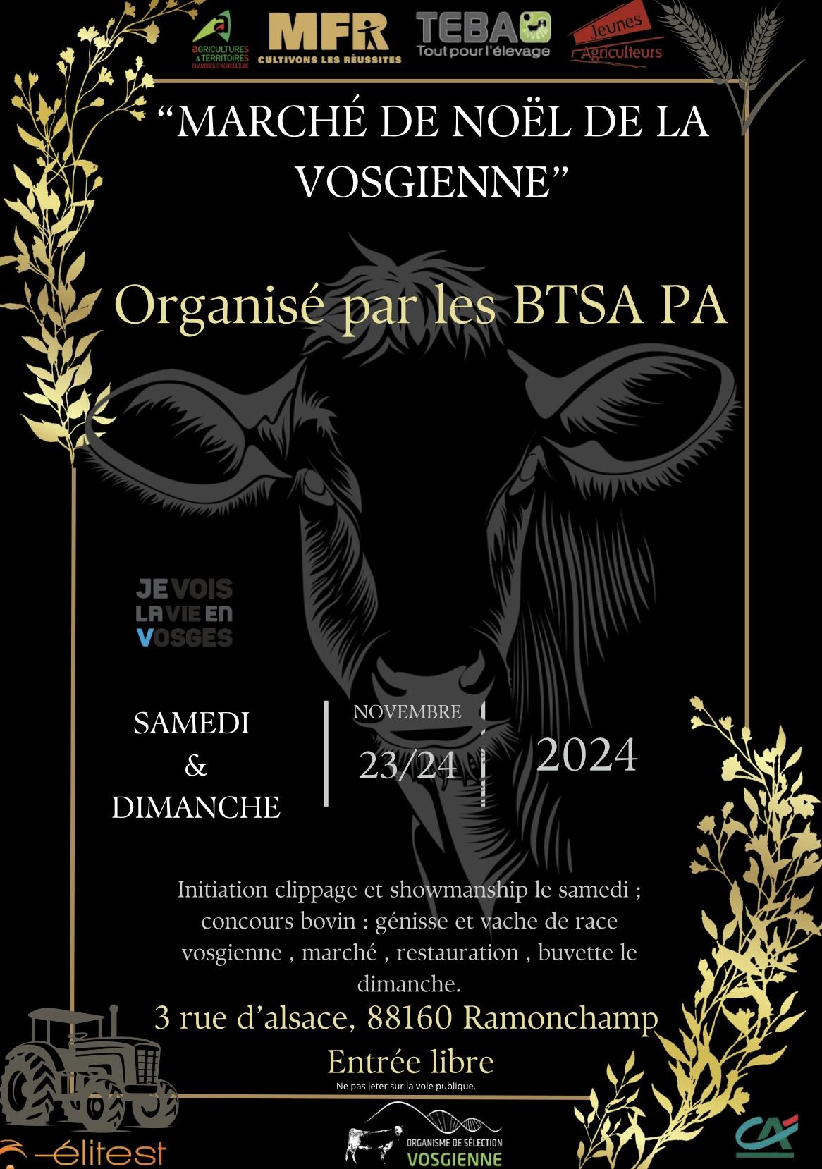 Affiche ramonchamp