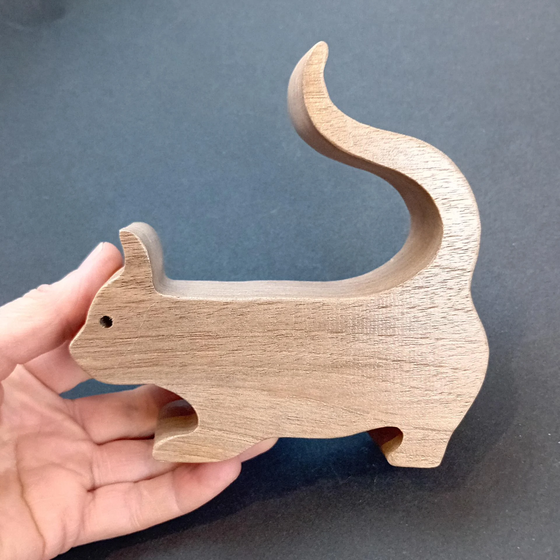 PT chat queue en l'air