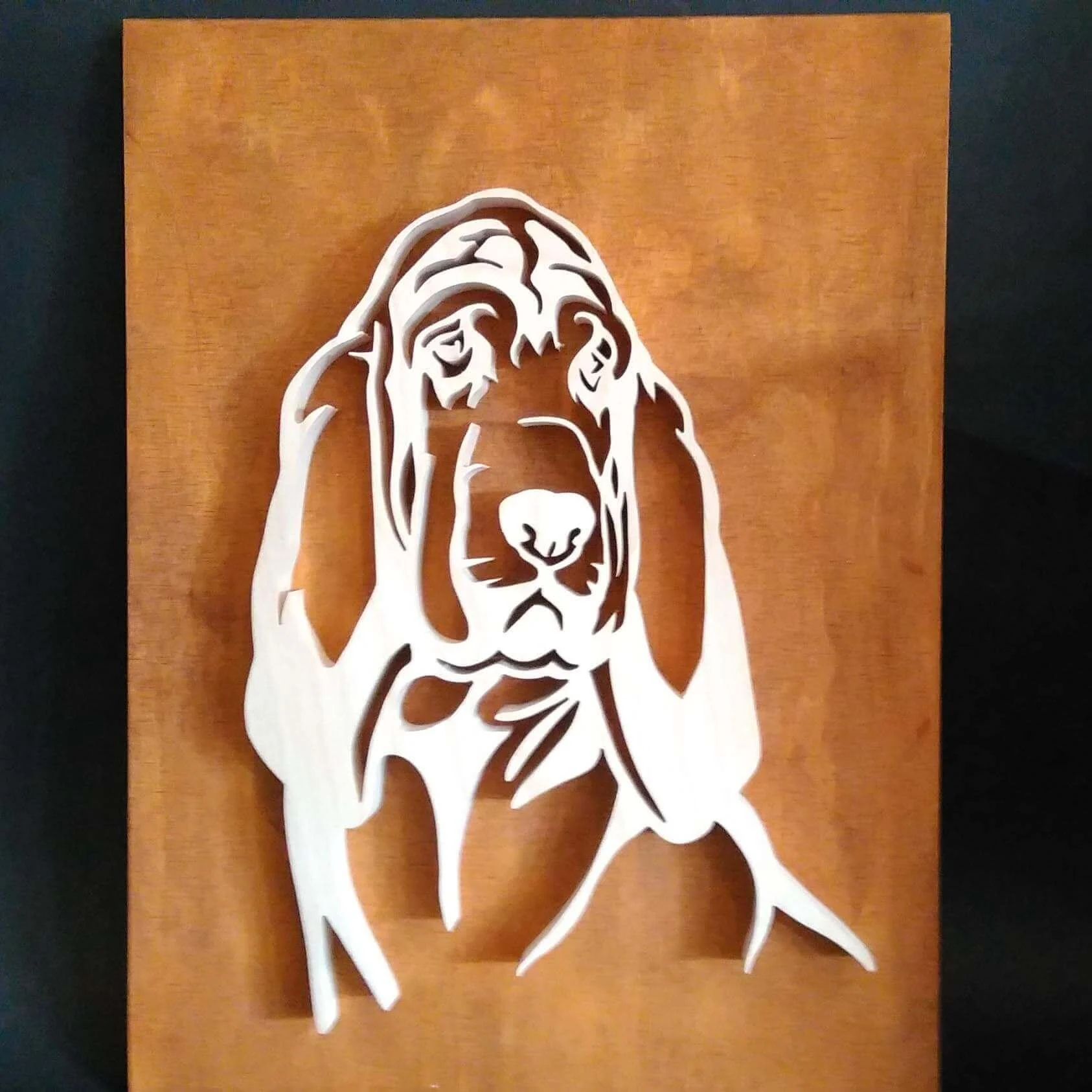 Chien st hubert421 2